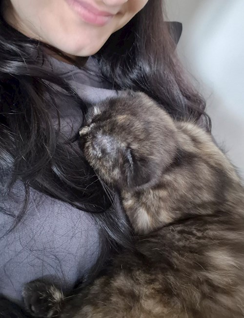 Ana- petsitter București sau Bonă pentru animale pentru câini pisici 