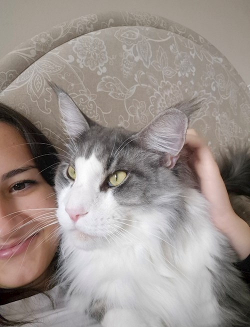 Ana- petsitter București sau Bonă pentru animale pentru câini pisici 