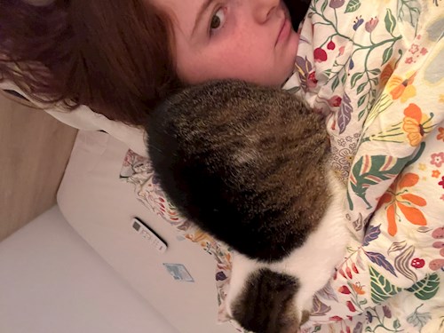 Mădălina- petsitter Cluj-Napoca or Pet nanny for dogs cats 