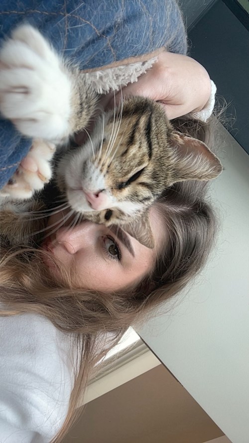 Listvan- petsitter București or Pet nanny for dogs cats 