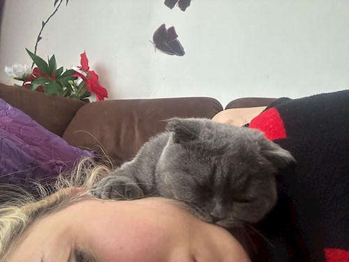 Alessia- petsitter București sau Bonă pentru animale pentru câini pisici 