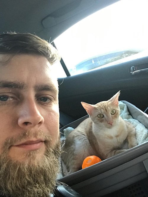 Vasile- petsitter București sau Bonă pentru animale pentru câini pisici 