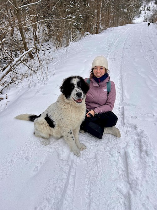 Denisa- petsitter Timișoara sau Bonă pentru animale pentru câini pisici 