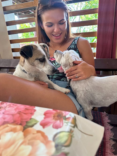 Andreea- petsitter București vagy Állat szitter a kutyák cicák 