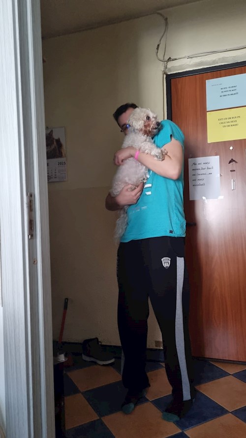 Bogdan- petsitter București or Pet nanny for dogs cats 