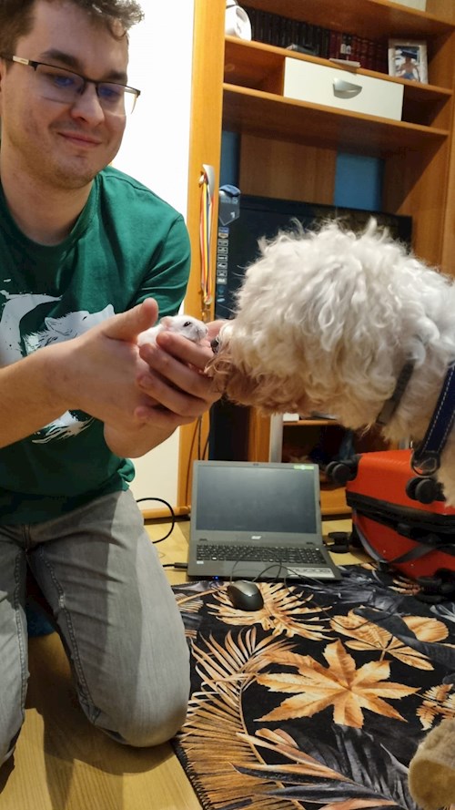 Bogdan- petsitter București or Pet nanny for dogs cats 