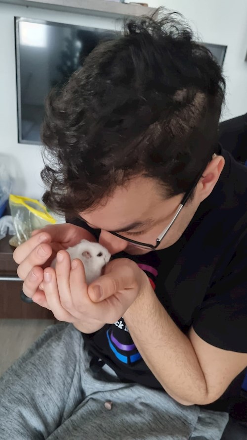 Bogdan- petsitter București or Pet nanny for dogs cats 