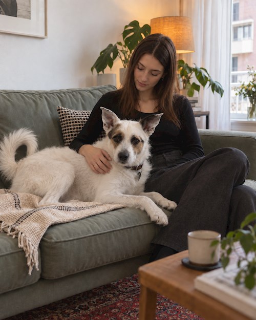 Elena- petsitter București vagy Állat szitter a kutyák cicák 
