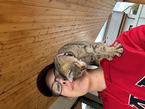 Mara- petsitter Sângeorgiu de Mureș vagy Állat szitter a kutyák cicák 