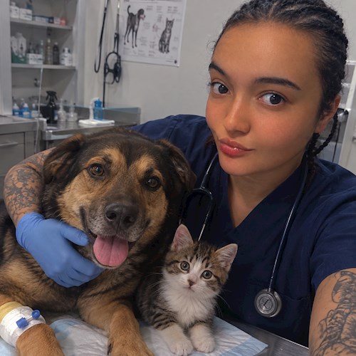 Andra- petsitter București sau Bonă pentru animale pentru câini pisici 