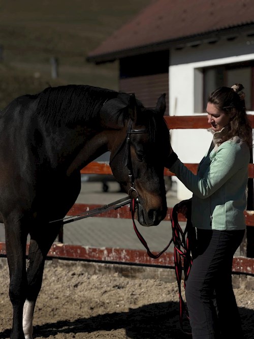 Marian- petsitter Cluj-Napoca vagy Állat szitter a kutyák cicák 