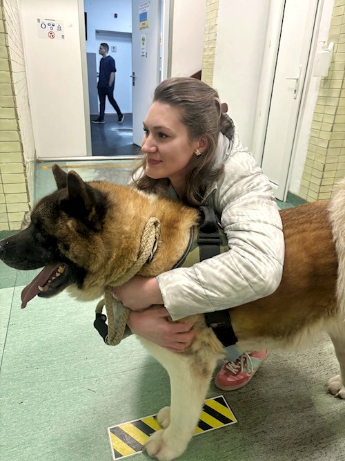 Marian- petsitter Cluj-Napoca vagy Állat szitter a kutyák cicák 