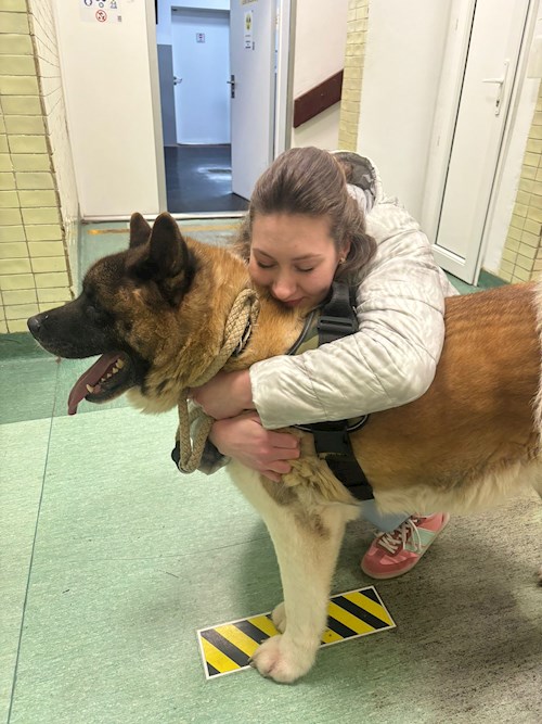Marian- petsitter Cluj-Napoca vagy Állat szitter a kutyák cicák 