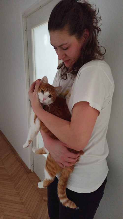 Marian- petsitter Cluj-Napoca vagy Állat szitter a kutyák cicák 