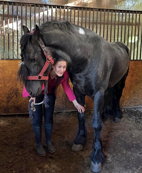 Marian- petsitter Cluj-Napoca vagy Állat szitter a kutyák cicák 