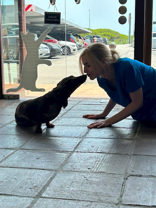 Culicovschi- petsitter Cluj-Napoca sau Bonă pentru animale pentru câini pisici 