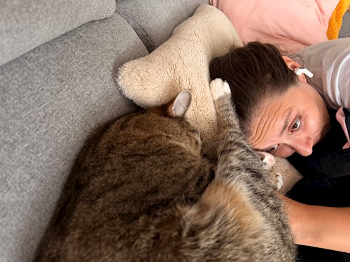 Emilia- petsitter București vagy Állat szitter a kutyák cicák 