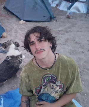 petsitter București or Pet nanny for Dogs Cats 