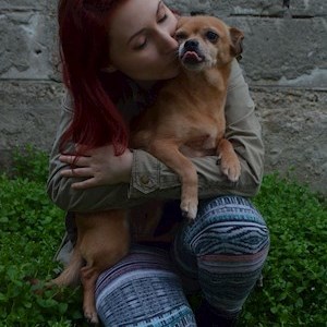 petsitter București or Pet nanny for Dogs Cats 