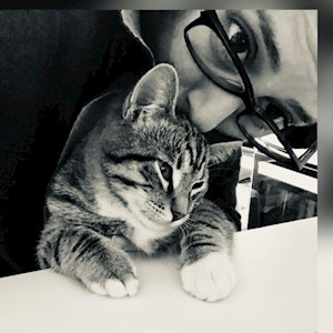 petsitter București sau Bonă pentru animale pentru Câini Pisici 