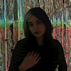 Mora - pet sitter cats dogs Cluj-Napoca