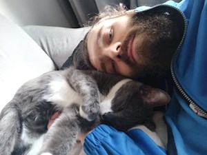 petsitter Timișoara vagy Állat szitter a Kutyák Cicák 