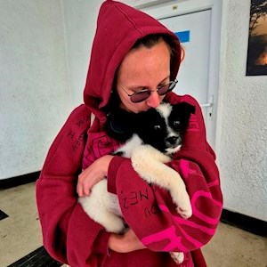 petsitter Cluj-Napoca vagy Állat szitter a Kutyák Cicák