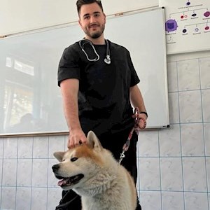 petsitter Cluj-Napoca sau Bonă pentru animale pentru Câini