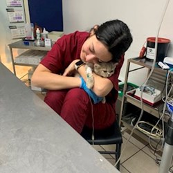 Arianna - pet sitter cicák kutyák Timișoara