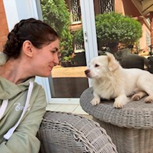 petsitter Timișoara or Pet nanny for Dogs Cats
