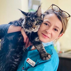 petsitter Iași vagy Állat szitter a Kutyák Cicák