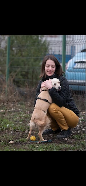 petsitter București or Pet nanny for Dogs Cats 