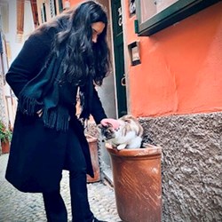 Patrintasu - pet sitter cats dogs Târgu Mureș