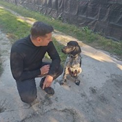 Razvan - pet sitter Cernica