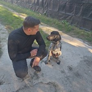 petsitter Cernica vagy Állat szitter a