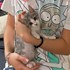 Alexandra + stapan de animal de companie care a apelat la un pet sitter in loc de pensiune canina sau pet hotel