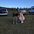 Alice + stapan de animal de companie care a apelat la un pet sitter in loc de pensiune canina sau pet hotel