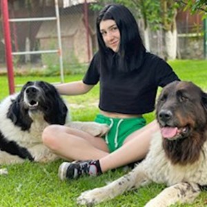 petsitter Timișoara vagy Állat szitter a Kutyák Cicák