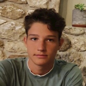petsitter Iași vagy Állat szitter a Kutyák Cicák 