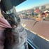 Niculae + stapan de animal de companie care a apelat la un pet sitter in loc de pensiune canina sau pet hotel