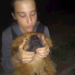 petsitter București sau Bonă pentru animale pentru