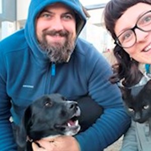 petsitter Livezeni sau Bonă pentru animale pentru