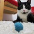 Elena + stapan de animal de companie care a apelat la un pet sitter in loc de pensiune canina sau pet hotel
