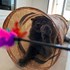 Diana + stapan de animal de companie care a apelat la un pet sitter in loc de pensiune canina sau pet hotel
