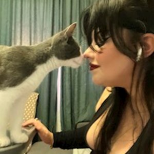petsitter Cluj-Napoca vagy Állat szitter a Cicák