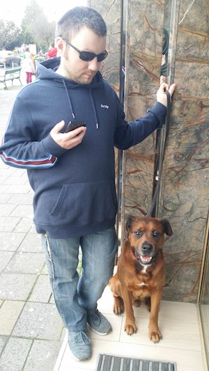 petsitter T&#226;rgu Mureș, Strada Prieteniei vagy Állat szitter a Kutyák 