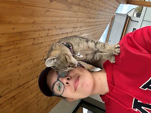 petsitter Sângeorgiu de Mureș or Pet nanny for Dogs Cats 