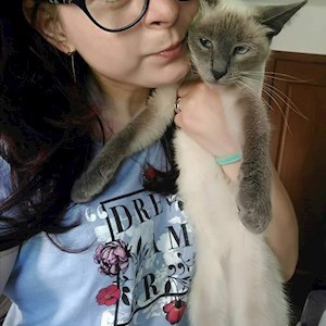 petsitter București or Pet nanny for Dogs Cats 