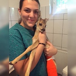 Diana - pet sitter cicák kutyák Iași