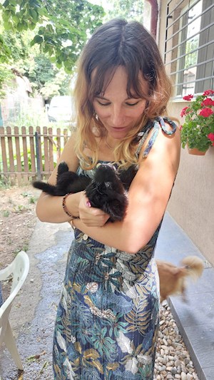 petsitter București sau Bonă pentru animale pentru 